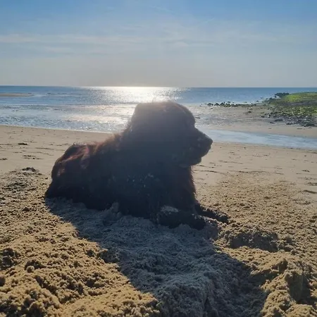 Meerblick Wattenmeer ,50m Vom Meer,strand 300m Chalet Westerland