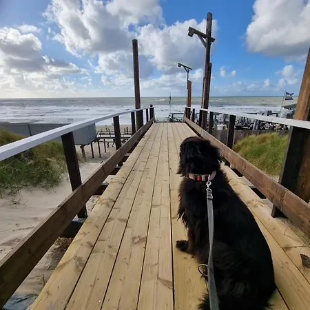 Meerblick Wattenmeer ,50m Vom Meer,strand 300m *