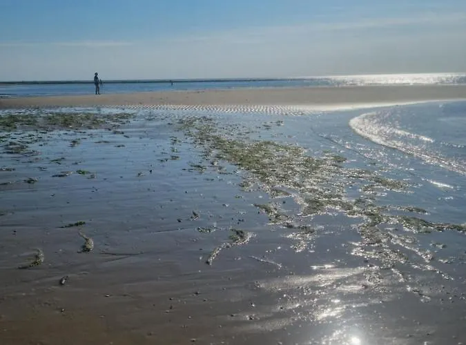 Meerblick Wattenmeer ,50m Vom Meer,strand 300m * Westerland