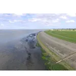 Meerblick Wattenmeer ,50m Vom Meer,strand 300m