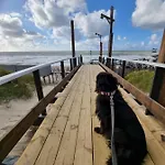 Meerblick Wattenmeer ,50m Vom Meer,strand 300m *