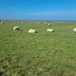 Chalet Meerblick Wattenmeer ,50m Vom Meer,strand 300m *