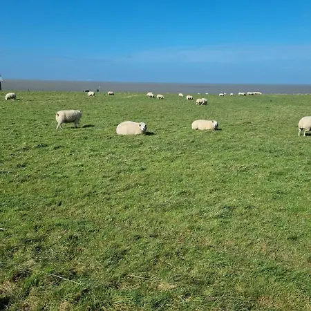 Chalé Meerblick Wattenmeer ,50m Vom Meer,strand 300m *