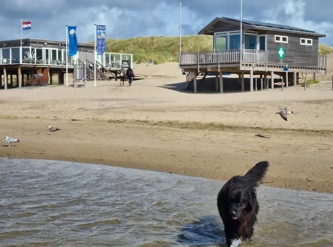 Meerblick Wattenmeer ,50m Vom Meer,strand 300m