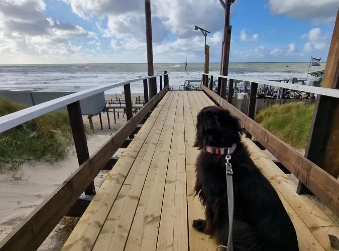 Meerblick Wattenmeer ,50m Vom Meer,strand 300m *