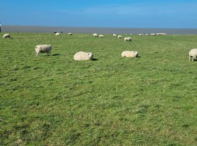 Horská chata Meerblick Wattenmeer ,50m Vom Meer,strand 300m *